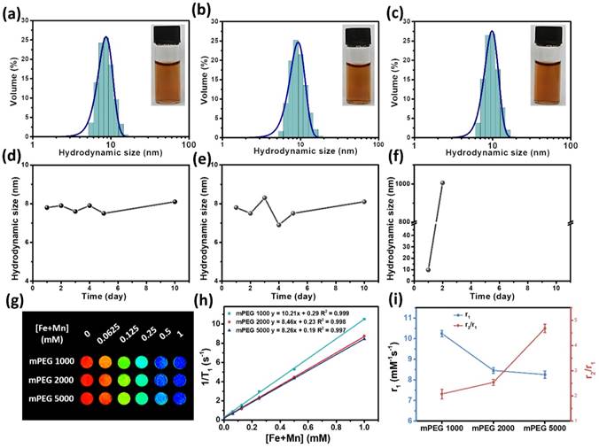 Theranostics Image