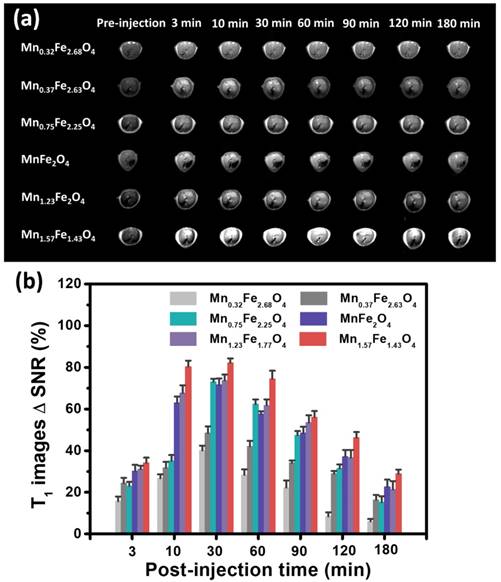 Theranostics Image