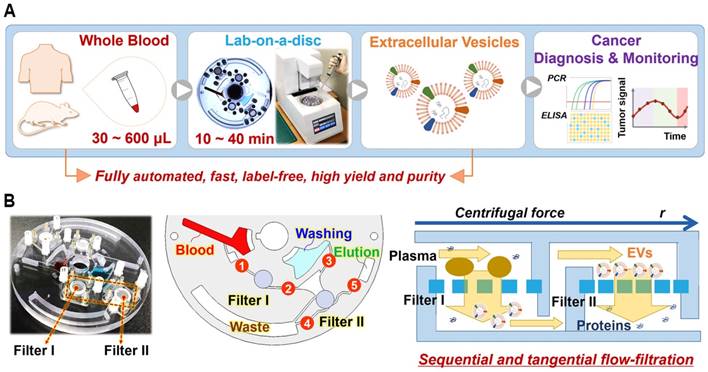 Theranostics Image