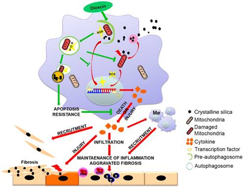 Theranostics Image