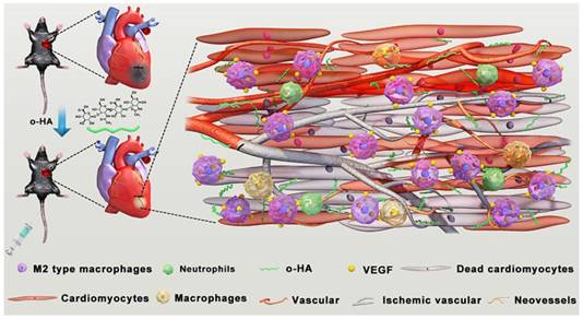 Theranostics Image