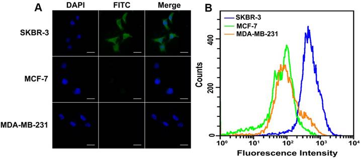 Theranostics Image