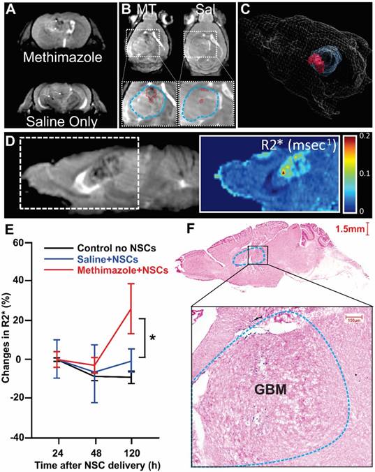 Theranostics Image