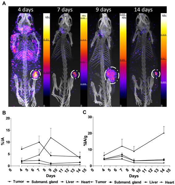 Theranostics Image