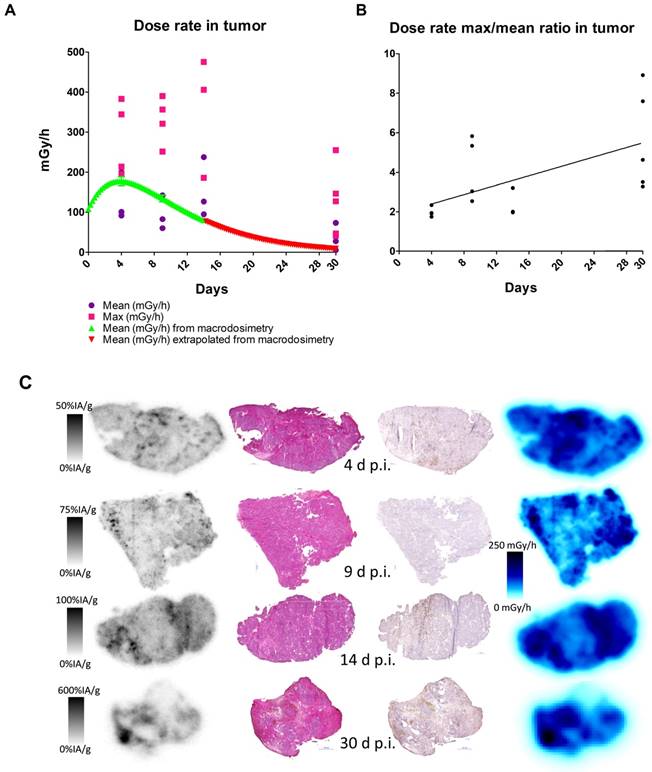 Theranostics Image