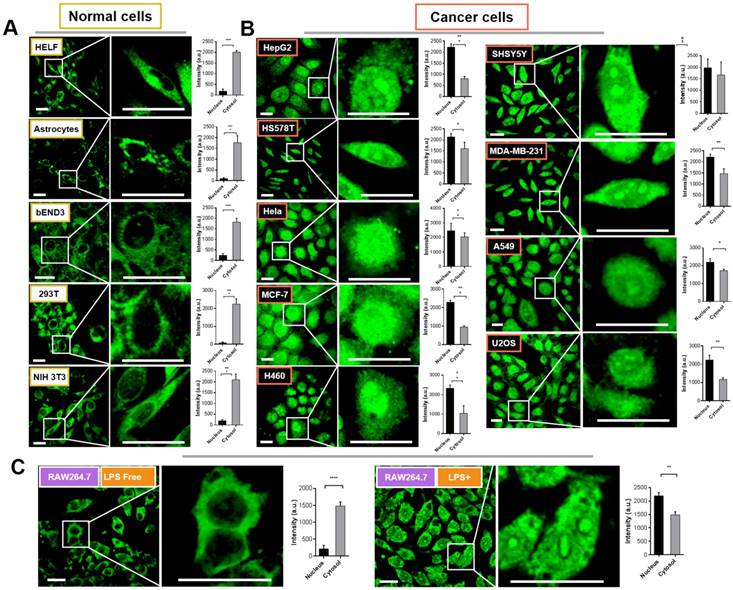 Theranostics Image