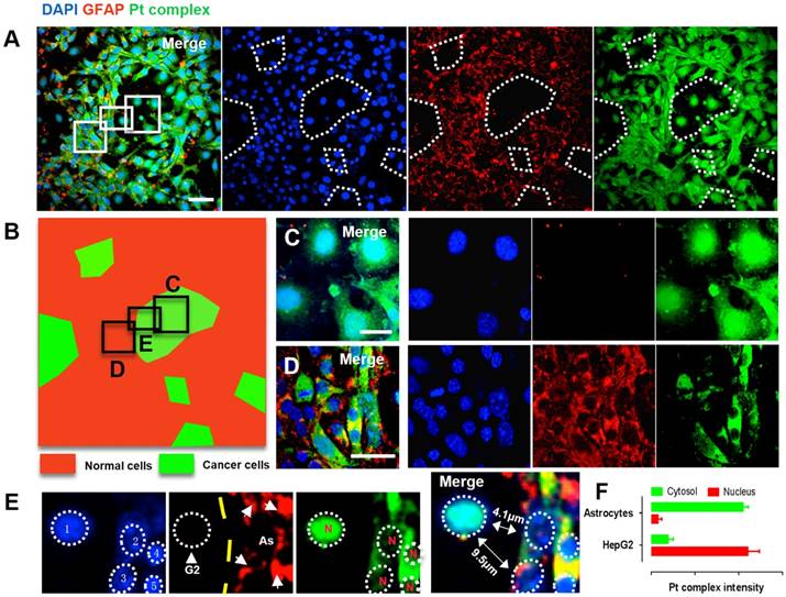 Theranostics Image