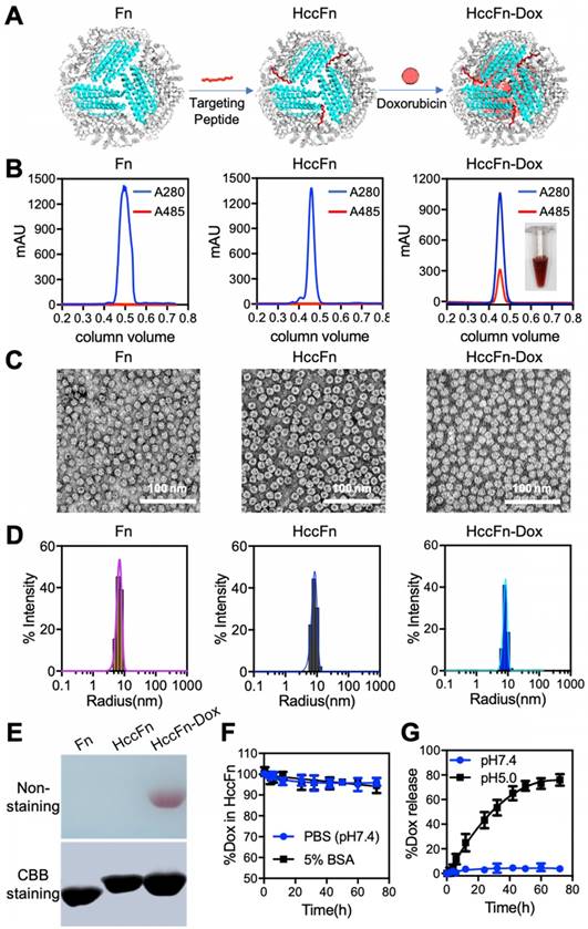 Theranostics Image