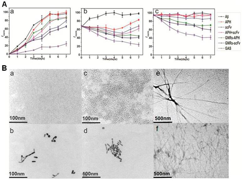 Theranostics Image