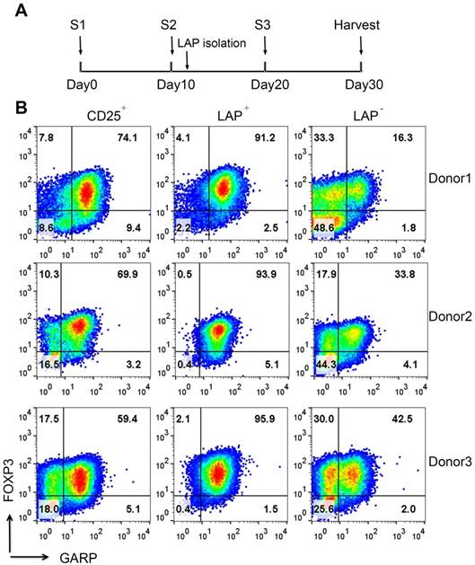 Theranostics Image