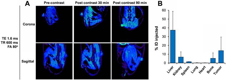 Theranostics Image