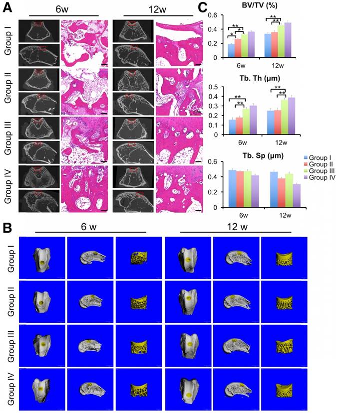 Theranostics Image