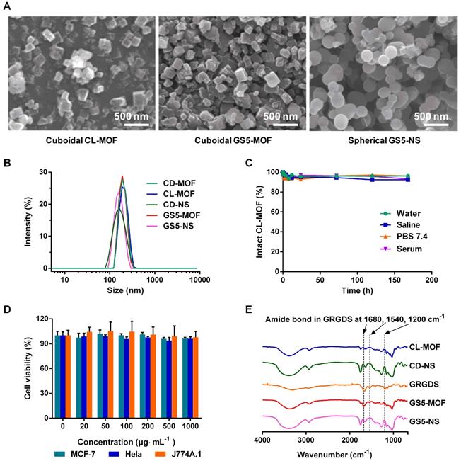 Theranostics Image