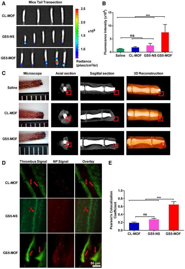 Theranostics Image