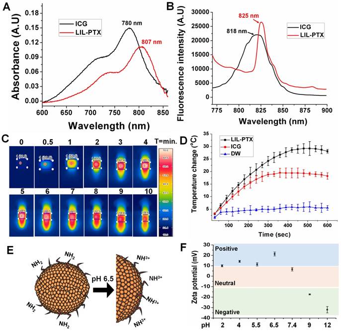 Theranostics Image