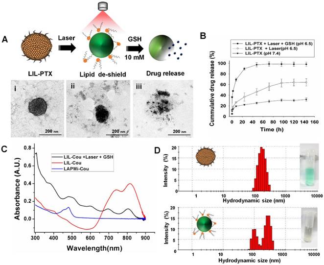 Theranostics Image