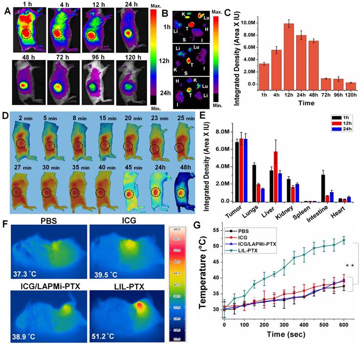 Theranostics Image