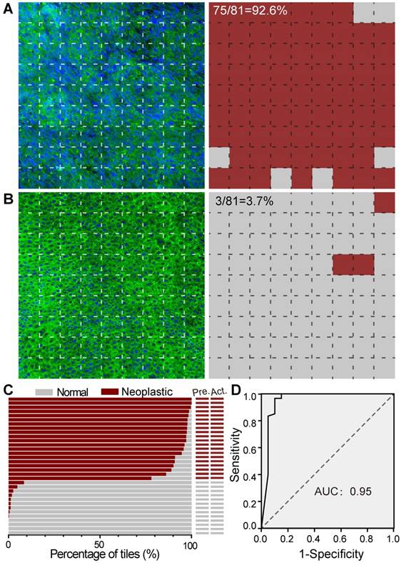 Theranostics Image