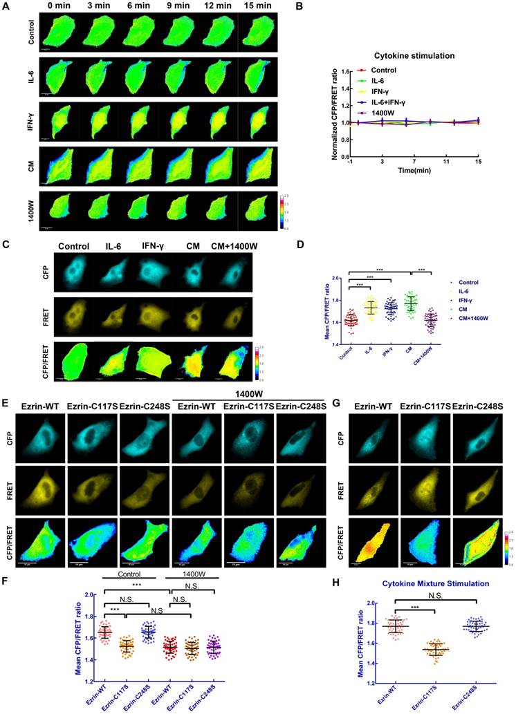 Theranostics Image