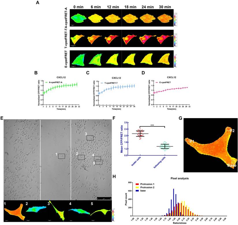 Theranostics Image