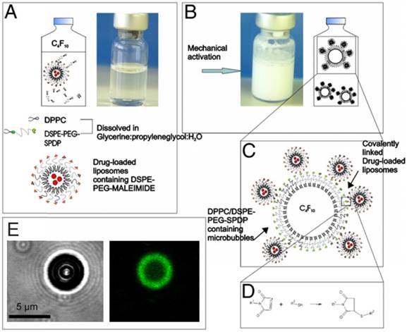 Theranostics Image