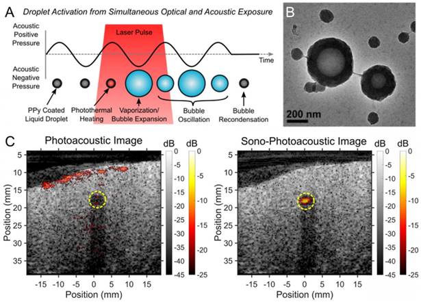 Theranostics Image