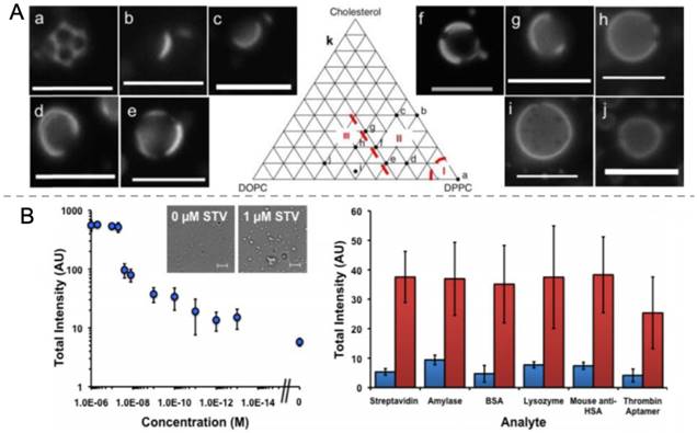 Theranostics Image