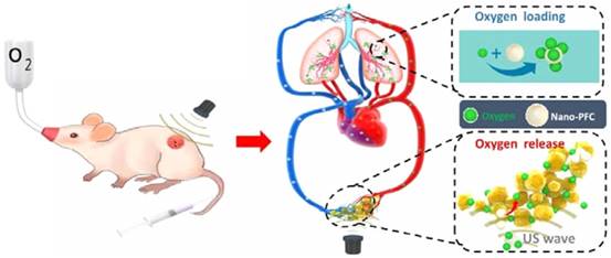 Theranostics Image