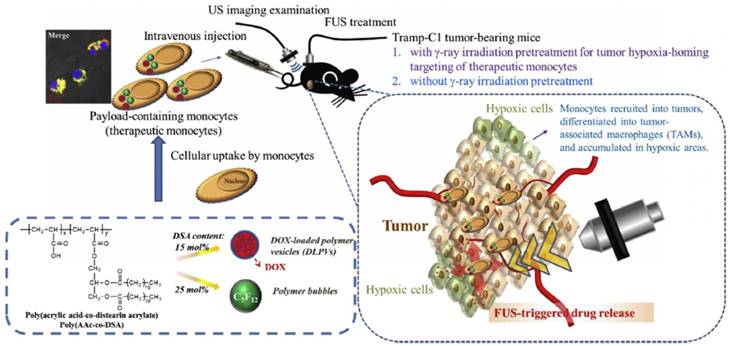 Theranostics Image