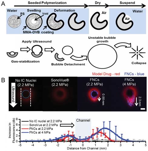 Theranostics Image