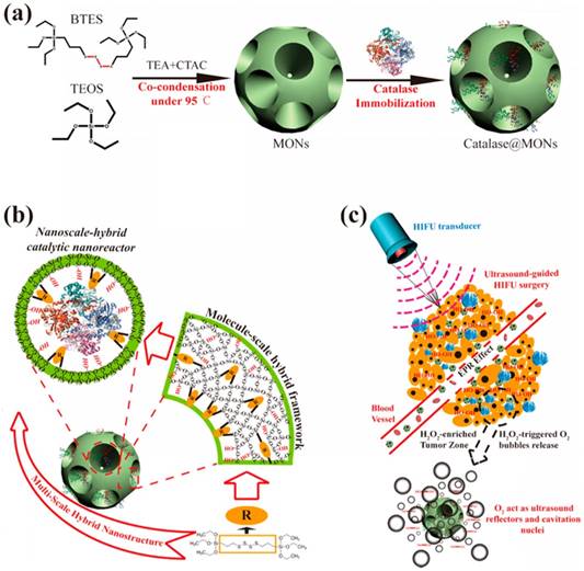 Theranostics Image