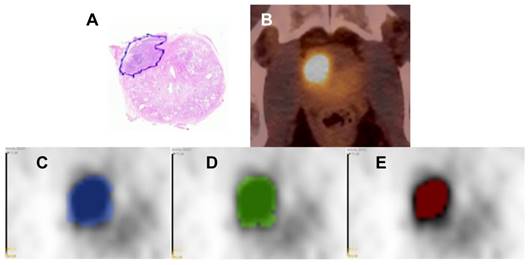 Theranostics Image