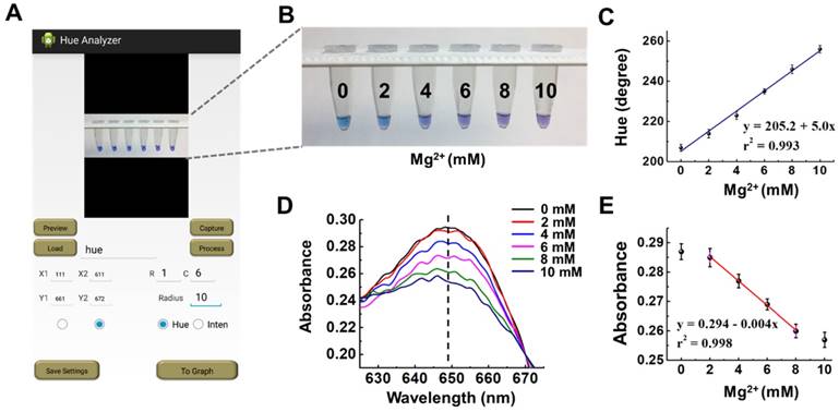 Theranostics Image