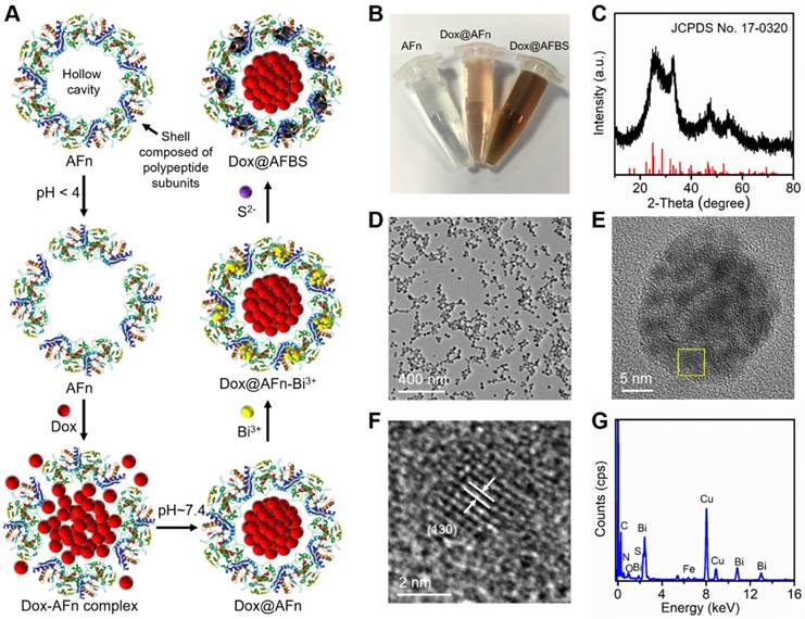 Theranostics Image