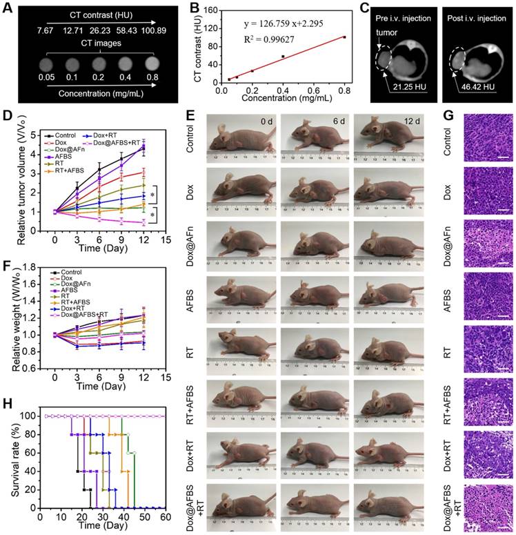 Theranostics Image