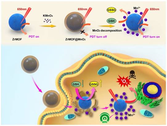 Theranostics Image