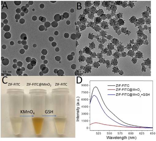 Theranostics Image