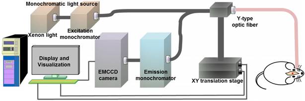 Theranostics Image