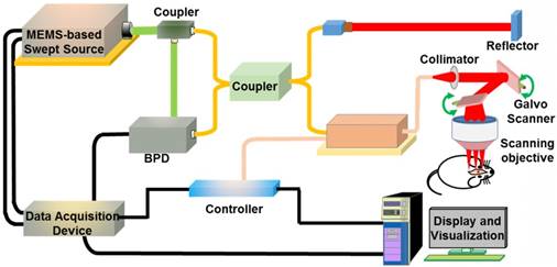 Theranostics Image