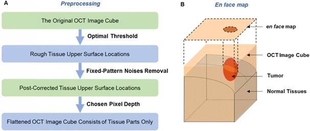 Theranostics Image