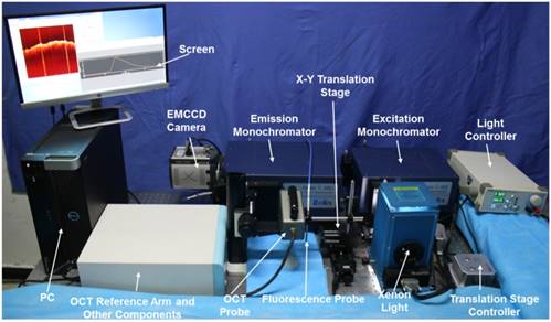 Theranostics Image