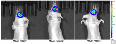 Theranostics Image