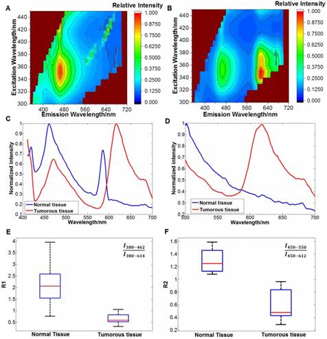 Theranostics Image