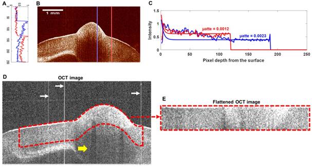 Theranostics Image