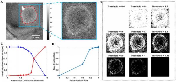 Theranostics Image