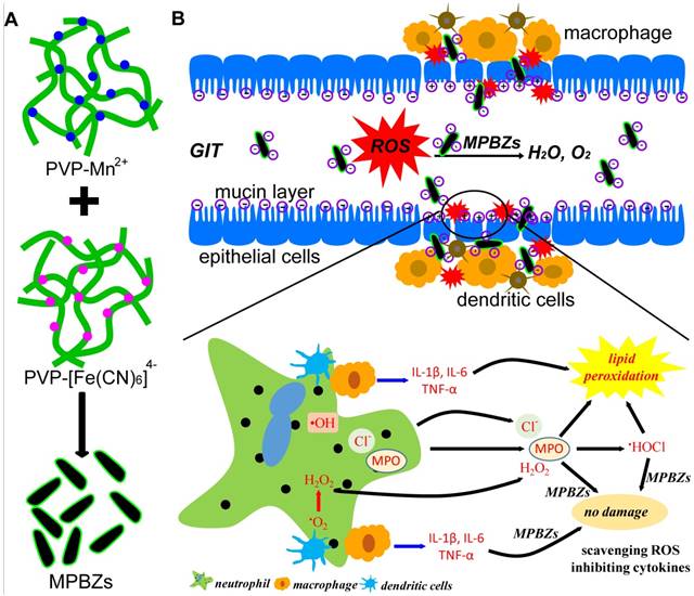 Theranostics Image