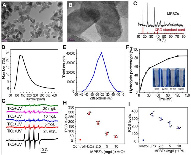 Theranostics Image