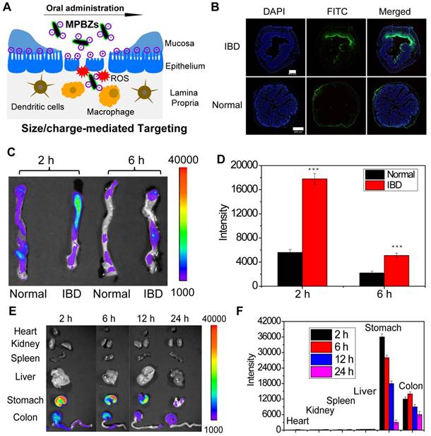 Theranostics Image