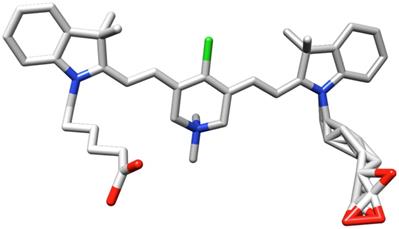 Theranostics Image