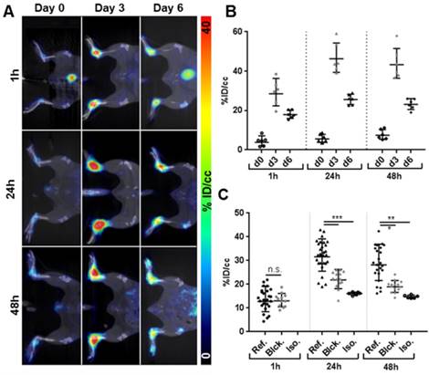 Theranostics Image